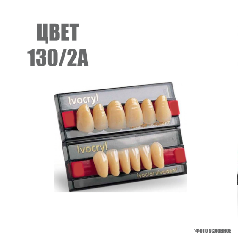 Зубы искуственные в цвете chromascop передние для в/ч SR Vivodent set of 6 upper 130/2А А32 купить