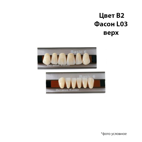 Зубы Basic 6 цвет В2 фасон L03 верх купить