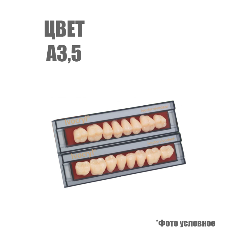 Зубы искуственные Set of 8 upper А3,5 D88 купить