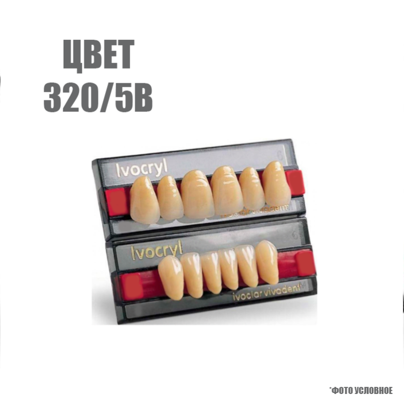 Зубы искуственные в цвете chromascop передние для в/ч SR Vivodent set of 6 upper 320/5В А32 купить