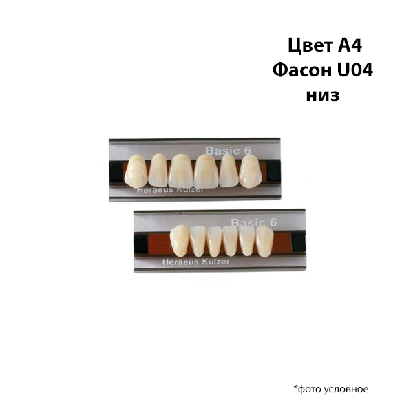 Зубы Basic 6 цвет А4 фасон U04 низ купить