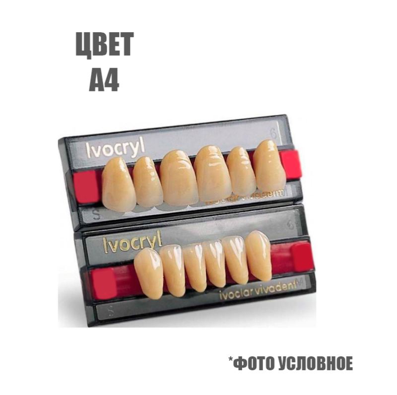 Зубы искуственные Set of 6 А4 16 купить