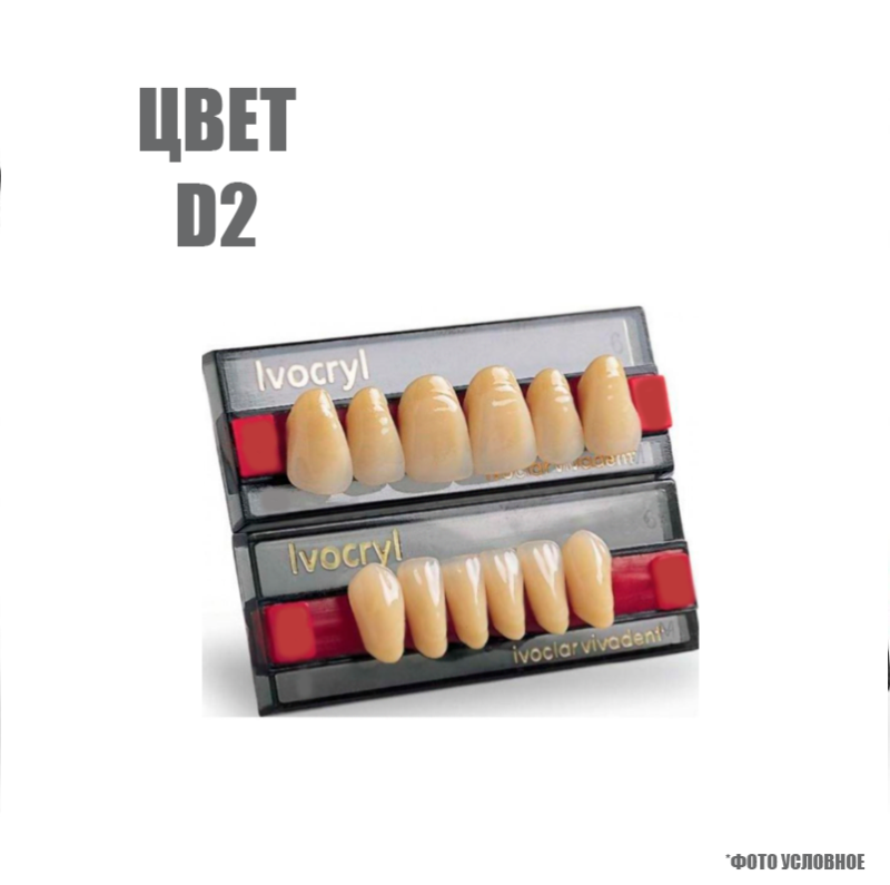 Зубы искуственные фронтальные верхние Ivoclar Set of 6 U OK37 D2 купить
