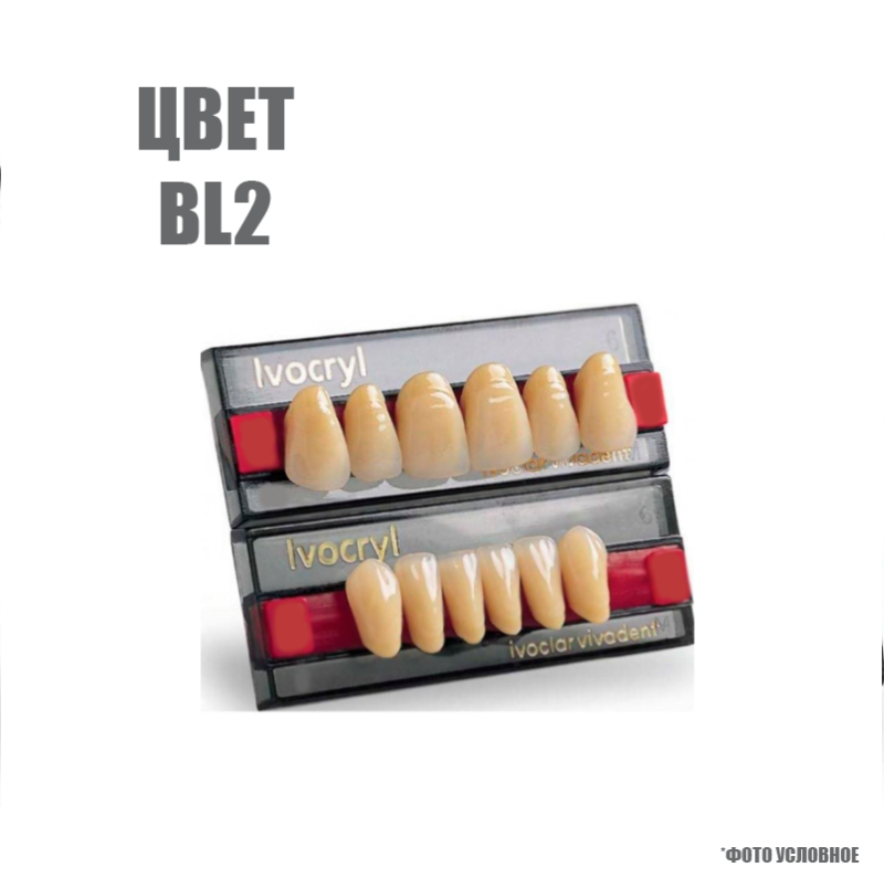 Зубы искуственные фронтальные нижние Ivoclar Set of 6 L UK52 ВL2 купить